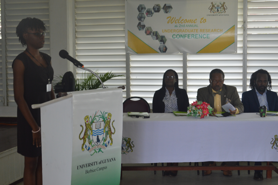 2nd Annual Undergraduate Research Conferences